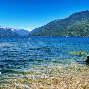 Meet your Posher, Maja